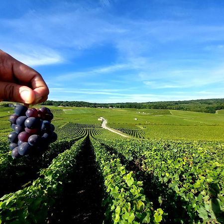 Epernay Capital De Champagne公寓 外观 照片