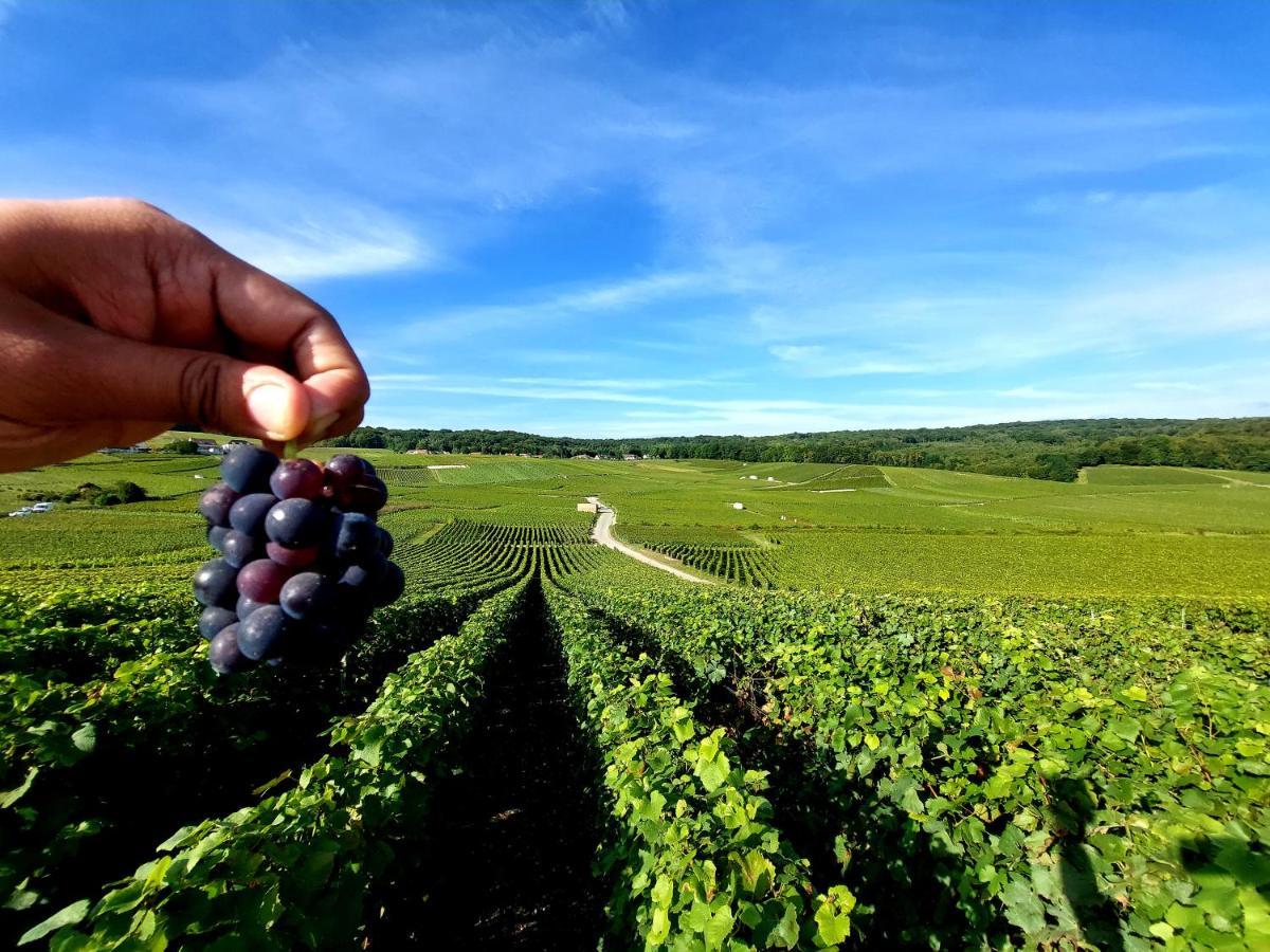 Epernay Capital De Champagne公寓 外观 照片